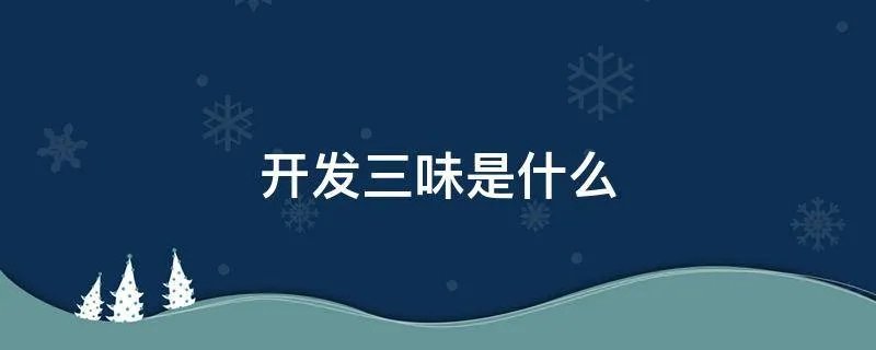开发三味是什么