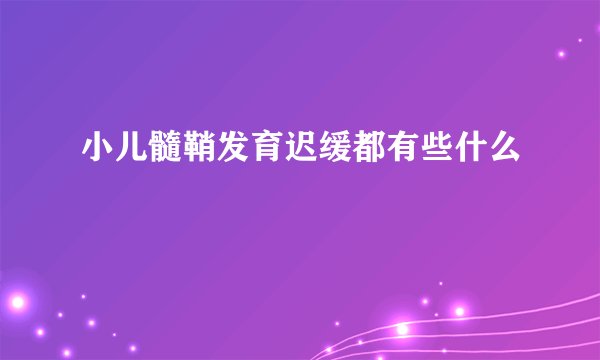 小儿髓鞘发育迟缓都有些什么