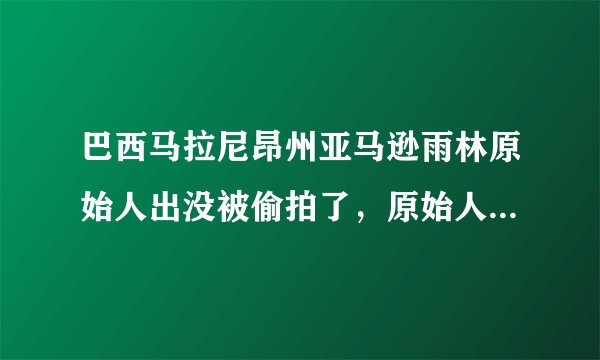 巴西马拉尼昂州亚马逊雨林原始人出没被偷拍了，原始人都是怎么生存的？