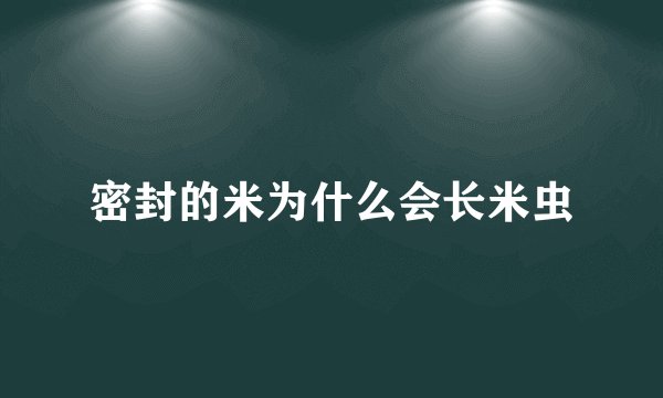密封的米为什么会长米虫