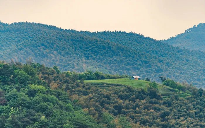 莫干山在哪里 莫干山在哪个地方