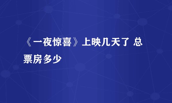 《一夜惊喜》上映几天了 总票房多少