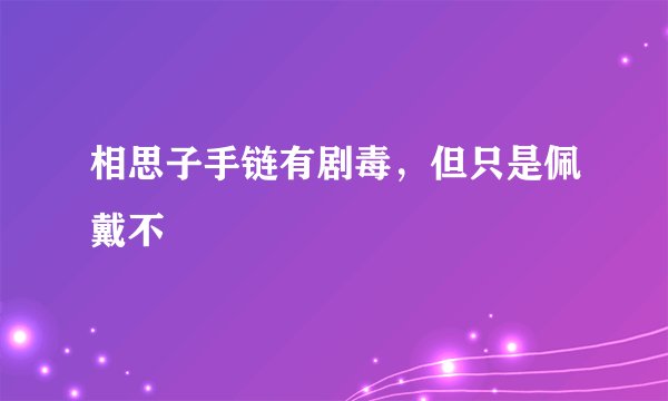 相思子手链有剧毒，但只是佩戴不