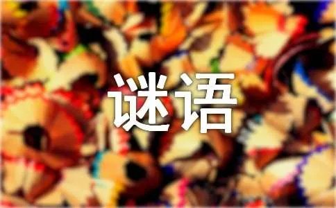 第三季中国谜语大会谜题及答案