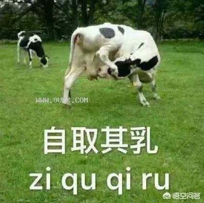 《环球时报》总编辑胡锡进称“不觉得杜嘉班纳这家公司有辱华的动机”,你如何评价?
