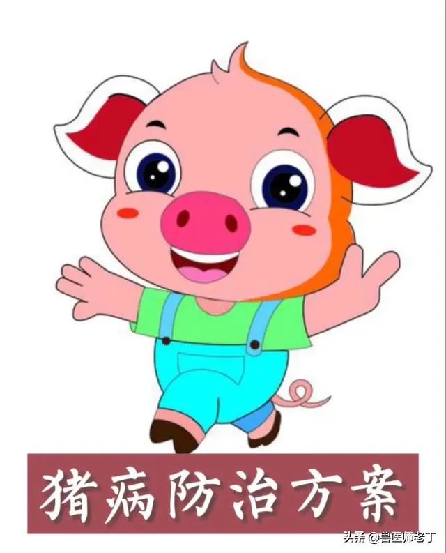 安徽猪饲料排名