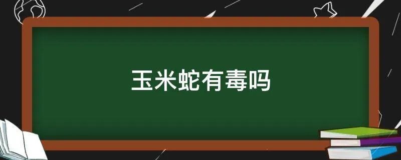 玉米蛇有毒吗