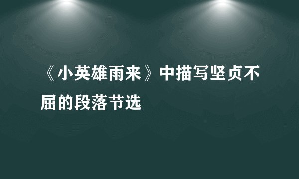 《小英雄雨来》中描写坚贞不屈的段落节选