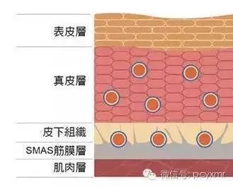 美容仪真的有返老还童的效果吗?