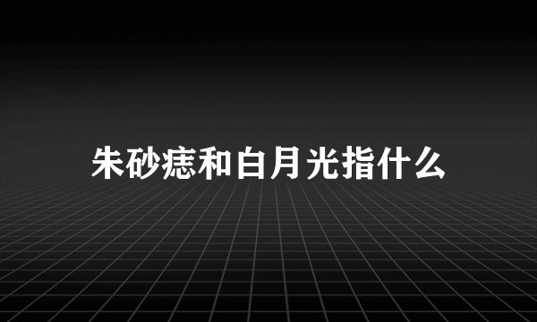 朱砂痣和白月光指什么