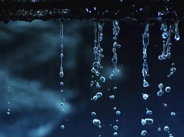 屋漏偏逢连夜雨,下一句是什么,或者上一句是什么呢?