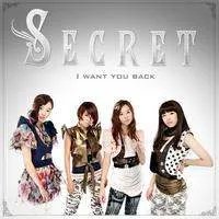 请亲们介绍哈韩国的secret组合，详细哦，谢