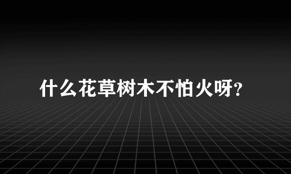 什么花草树木不怕火呀？