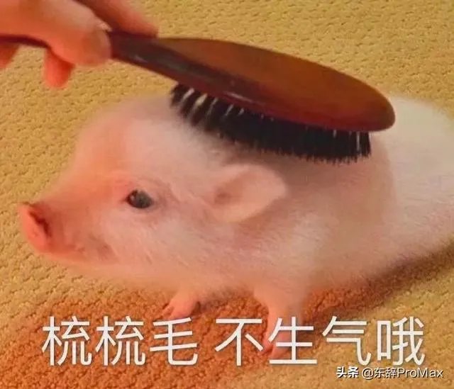 王者中怎么样才能找到一个野王混分?