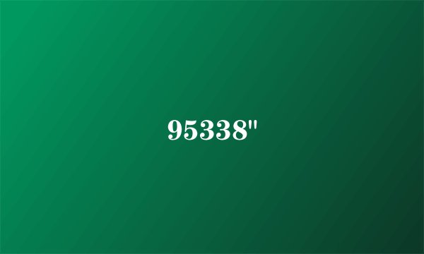 95338