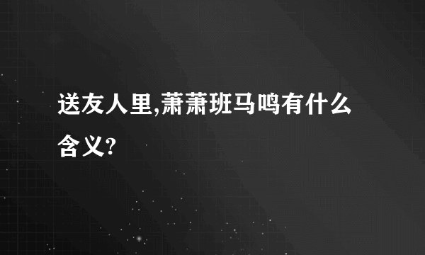 送友人里,萧萧班马鸣有什么含义?