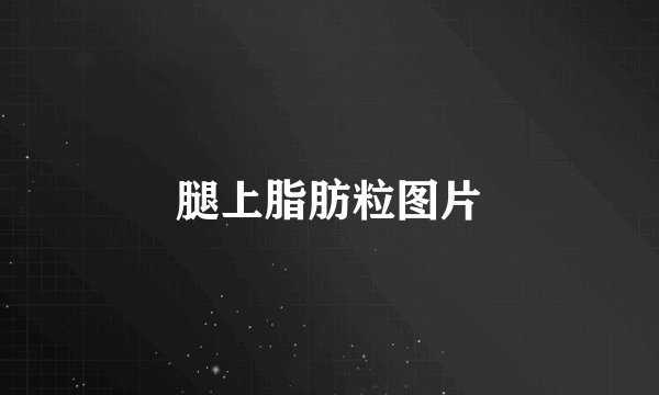 腿上脂肪粒图片