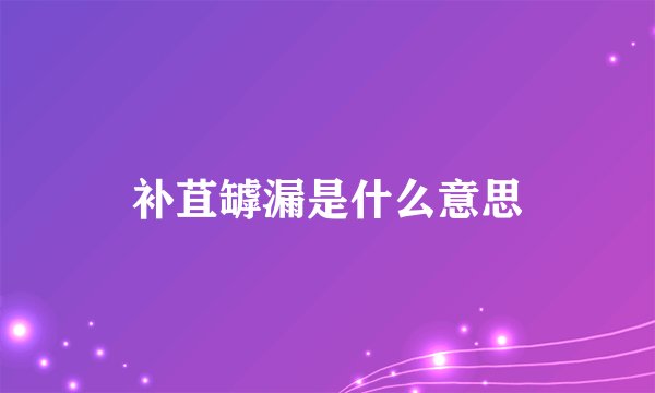 补苴罅漏是什么意思