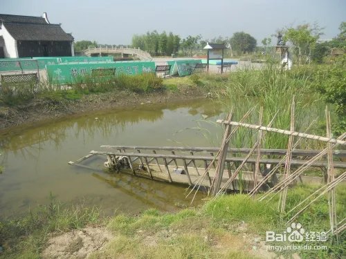 假期旅游之上海金山廊下生态园