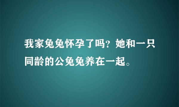 我家兔兔怀孕了吗？她和一只同龄的公兔兔养在一起。