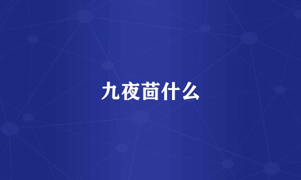 九夜茴什么