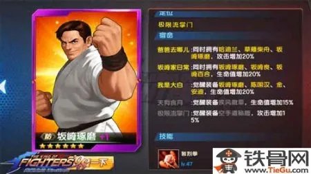 起凡极限辅助