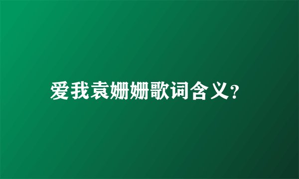 爱我袁姗姗歌词含义？