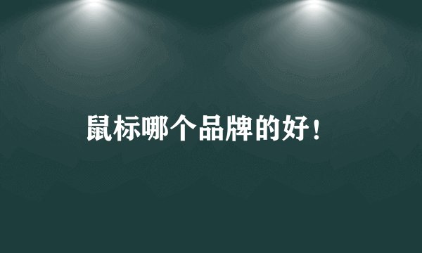 鼠标哪个品牌的好！