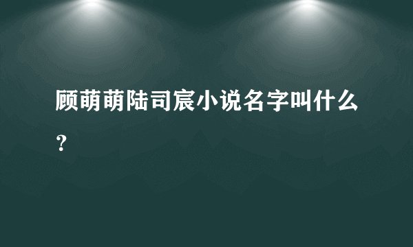 顾萌萌陆司宸小说名字叫什么？