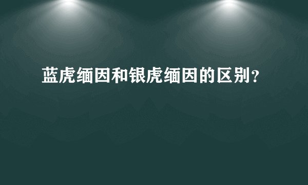 蓝虎缅因和银虎缅因的区别？