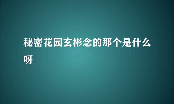 秘密花园玄彬念的那个是什么呀