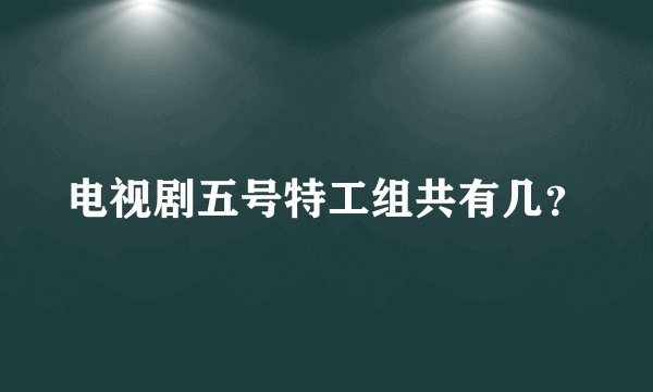 电视剧五号特工组共有几？