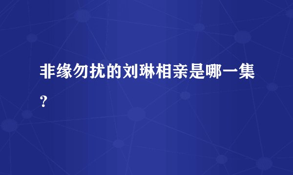 非缘勿扰的刘琳相亲是哪一集?
