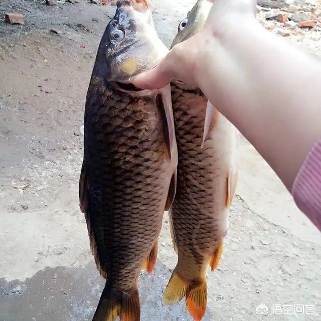 韩寒发长文说自己退学是很失败的事,你曾经有没有特别不想上学的时刻?
