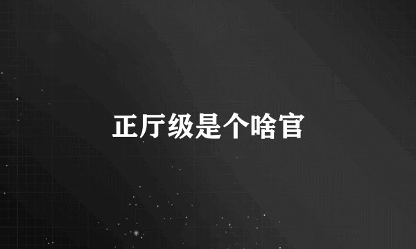 正厅级是个啥官