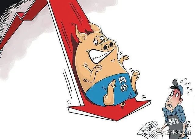 猪价连续下跌九天了,是什么原因造成猪价大跌,何时能上涨?