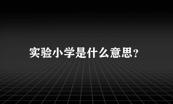 实验小学是什么意思？