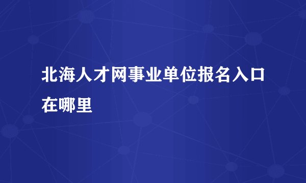 北海人才网事业单位报名入口在哪里