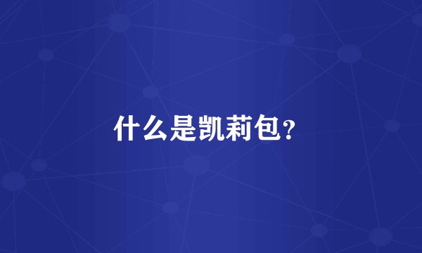 什么是凯莉包？