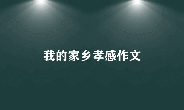 我的家乡孝感作文