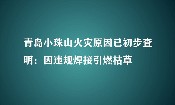 青岛小珠山火灾原因已初步查明：因违规焊接引燃枯草