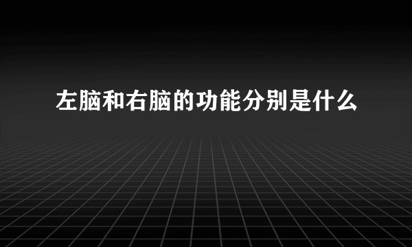 左脑和右脑的功能分别是什么