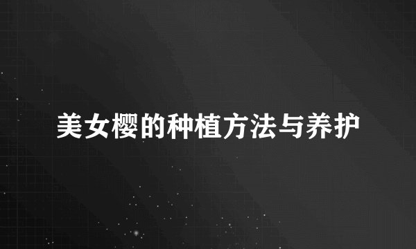 美女樱的种植方法与养护