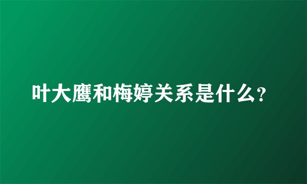 叶大鹰和梅婷关系是什么？