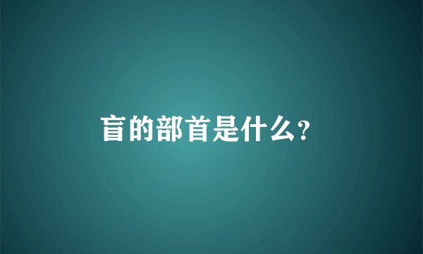 盲的部首是什么？