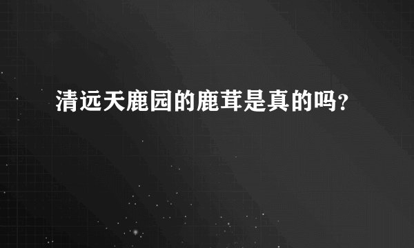 清远天鹿园的鹿茸是真的吗？