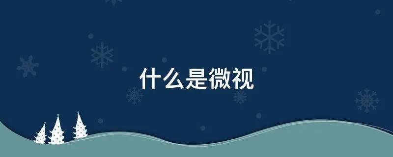 什么是微视