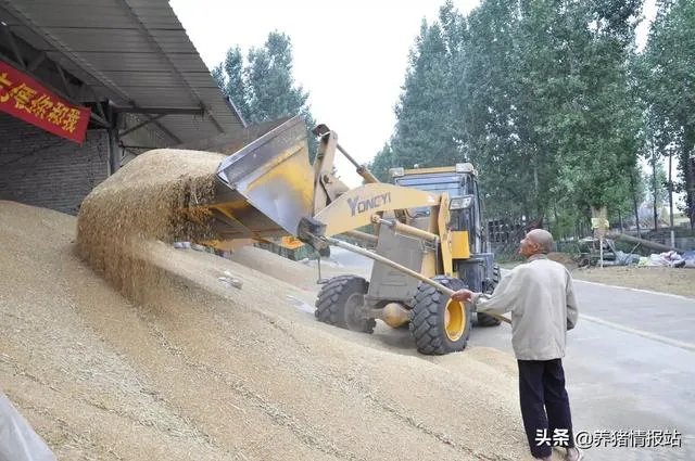 怎么防止地磅做手脚
