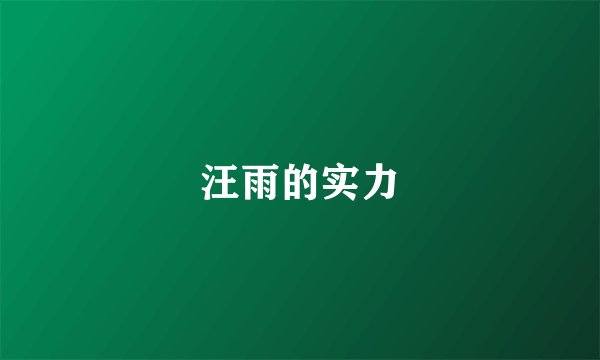 汪雨的实力