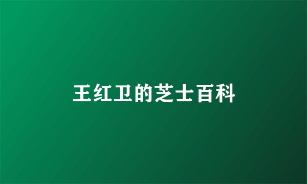 王红卫的芝士百科